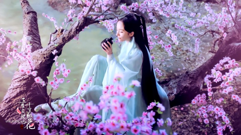 三生三世十里桃花.jpg