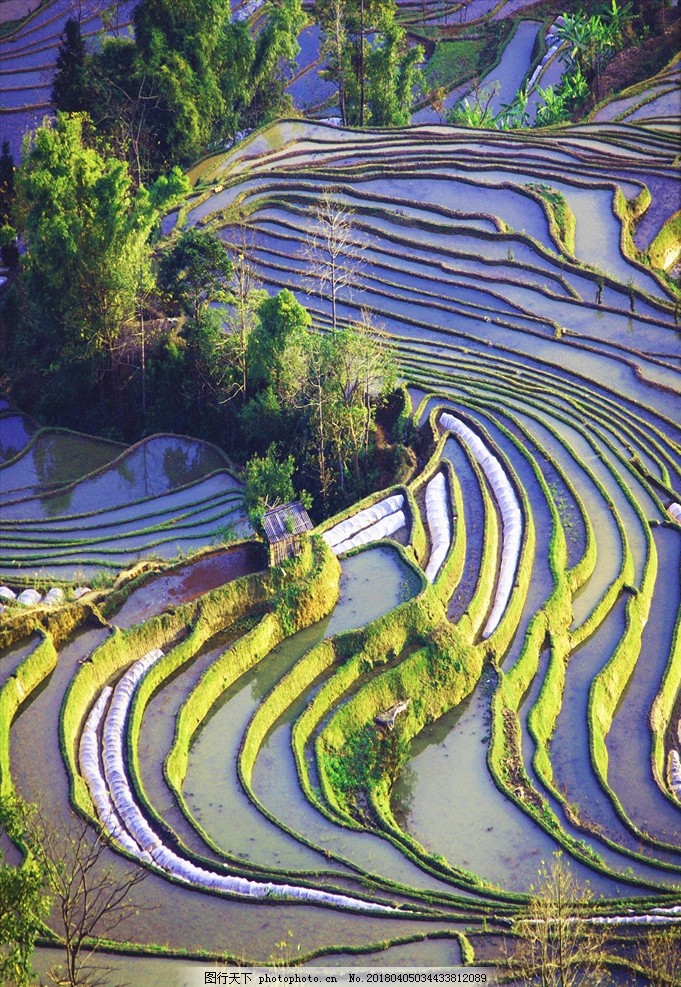 元阳梯田.jpg