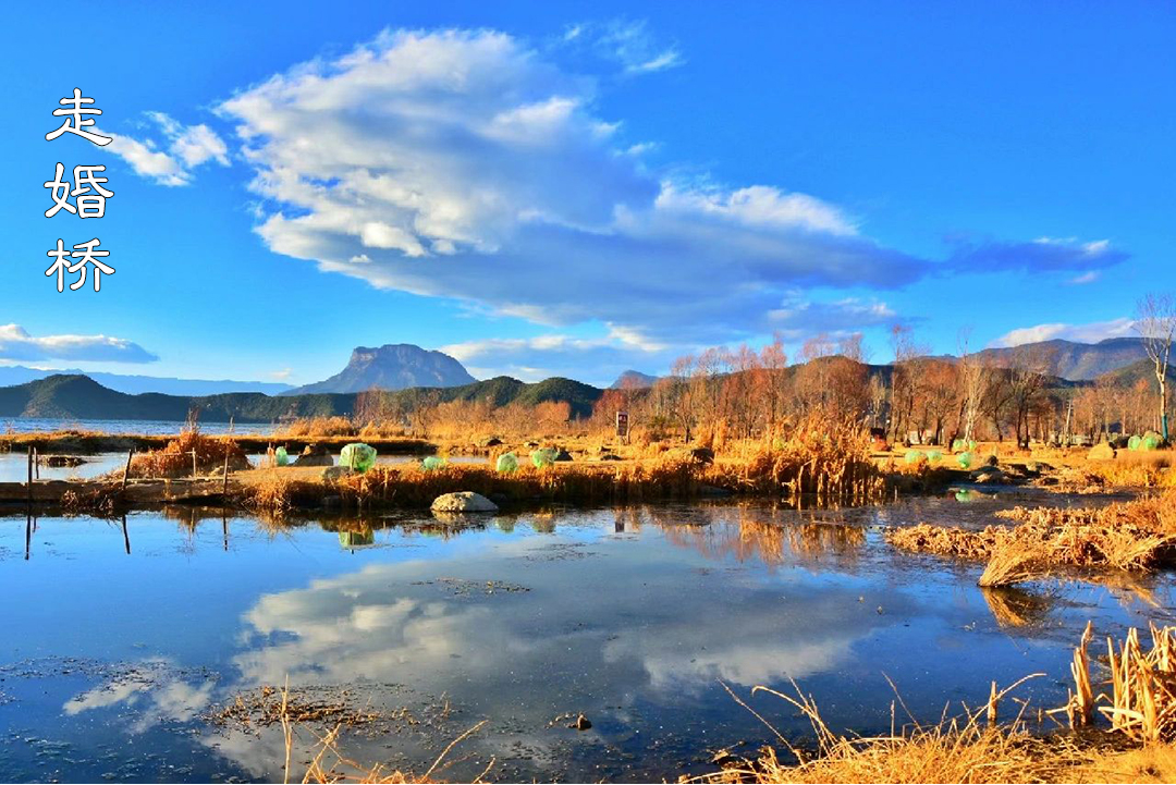 走婚桥3.jpg
