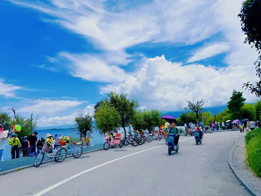 8eead2ed-f741-4b9a-bd22-21de55387737.png