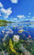 1788772975869934.png d9d4d554-08a9-4aa0-bd6c-48a306f5703e.png