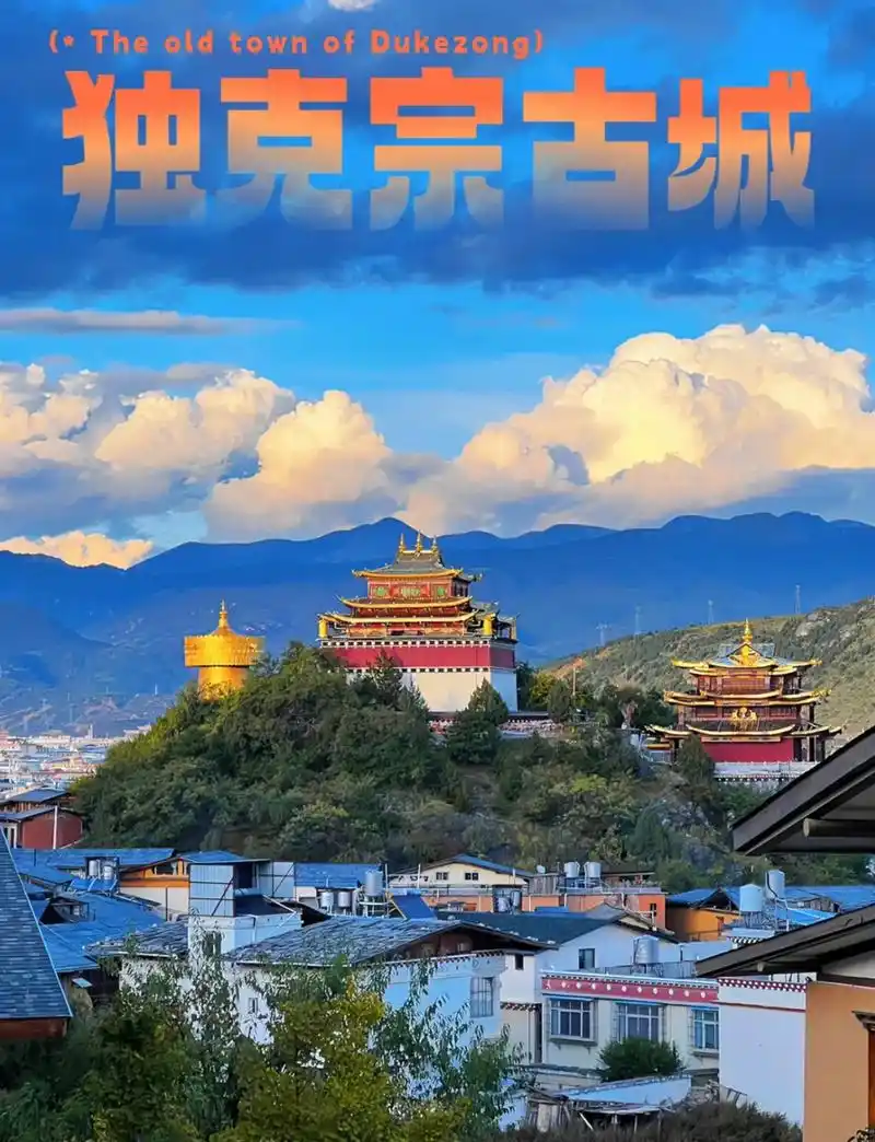 1789373999415346.png 52dcefa8-0b85-40e6-b437-e825b67da637.png